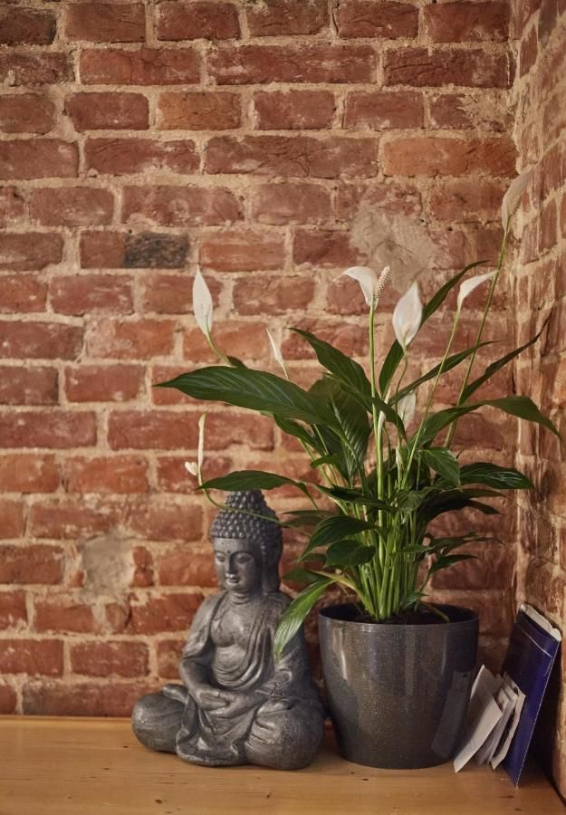 Хостелы Shelter хостел Львов-5