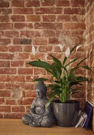 Хостелы Shelter хостел Львов-1